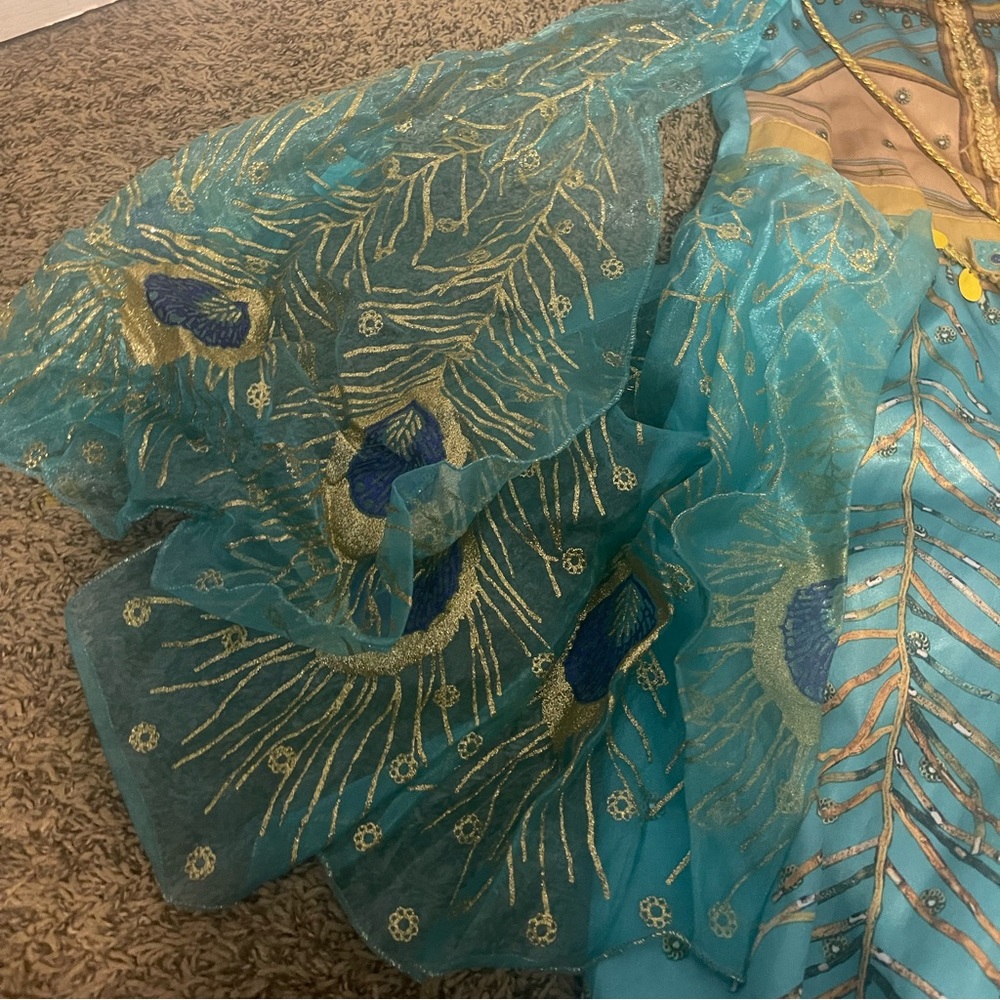Jasmine’s costume  for girls 4-6X
